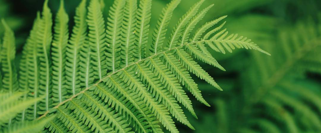 2025觅知重制扶风解析计费系统全新UI-16013